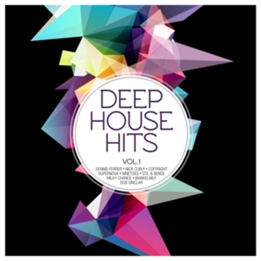 Diverse – Deep House Hits Vol. 1