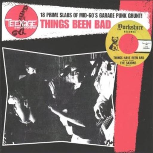 Diverse – Teenage Shutdown - Things Been Bad