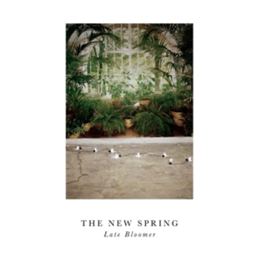The New Spring – Late Bloomer