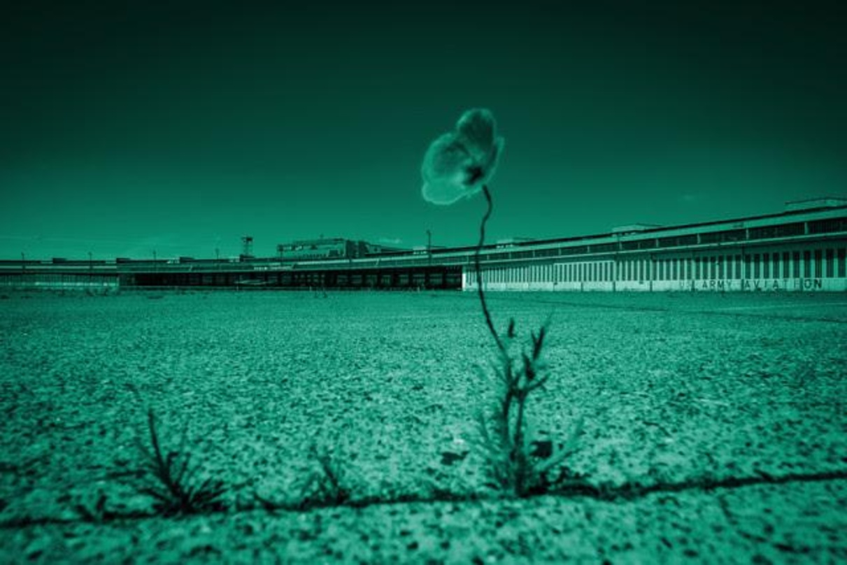 Wird Schauplatz eines Feldversuchs zu Recyclingdünger: das Tempelhof-Areal in Berlin