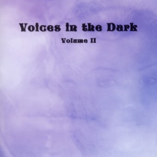 Diverse – Voices In The Dark Vol. 2