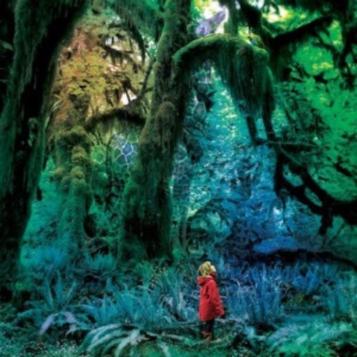 Jacco Gardner – Cabinet Of Curiosities