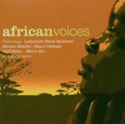 Diverse – African Voices
