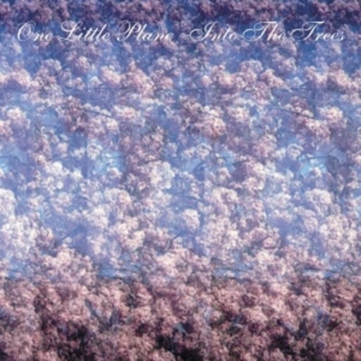 One Little Plane – Into The Trees