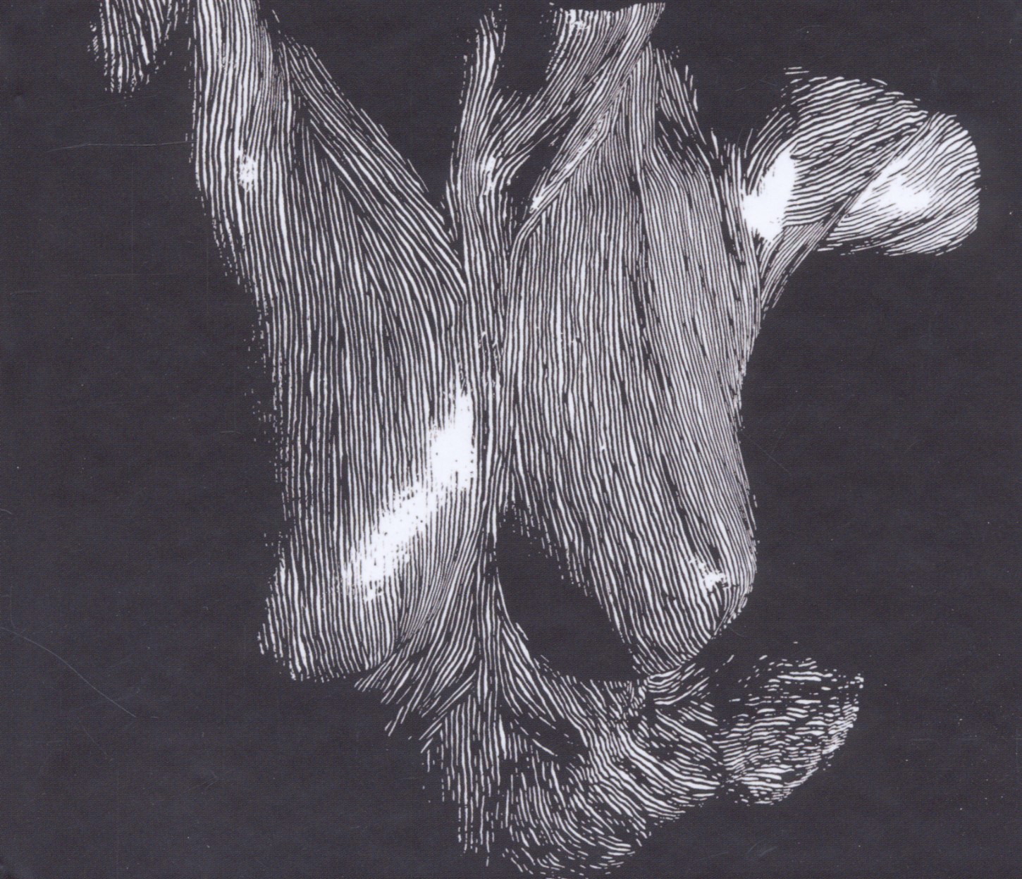 Oceansize – Self Preserved While The Bodies Float Up