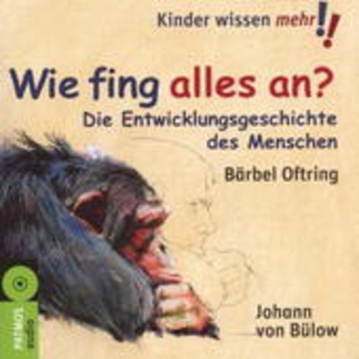 Wie fing alles an?