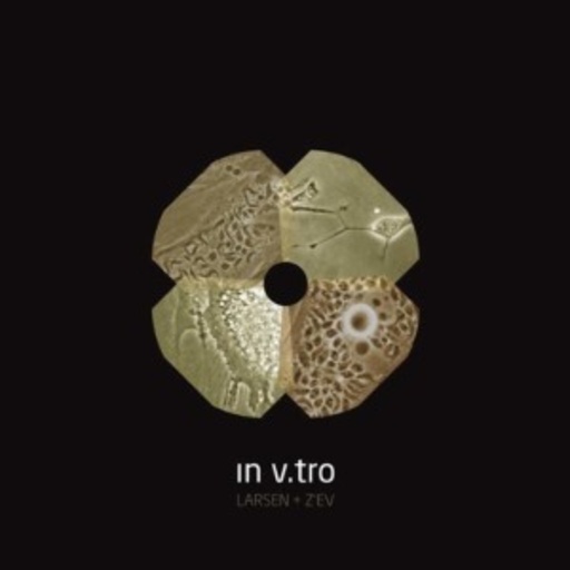 Larsen & Z'ev – In V. Tro