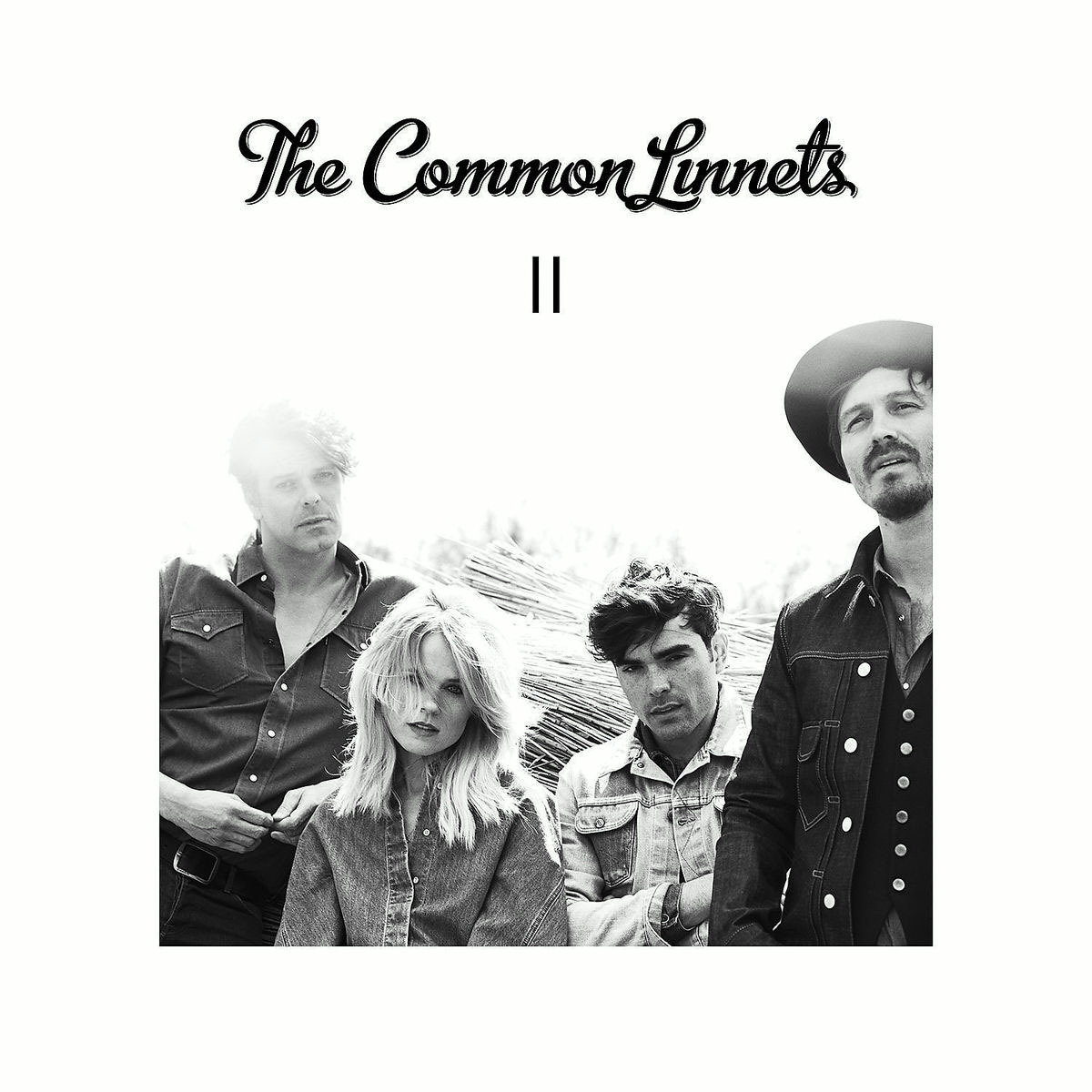 The Common Linnets – II