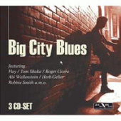 Diverse – Big City Blues