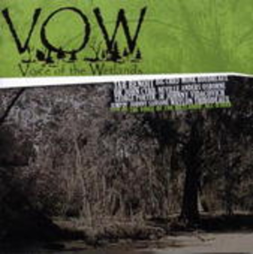 Tab Benoit – Voices Of The Wetlands