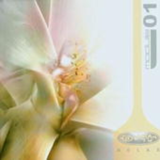 Diverse – Module 01