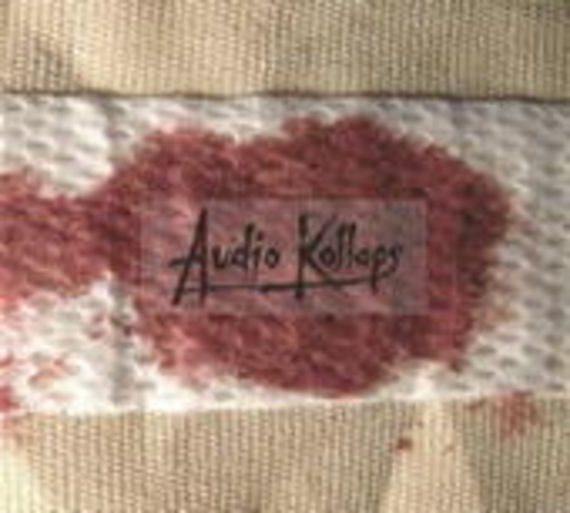 Audio Kollaps – Music From Extreme Sick World