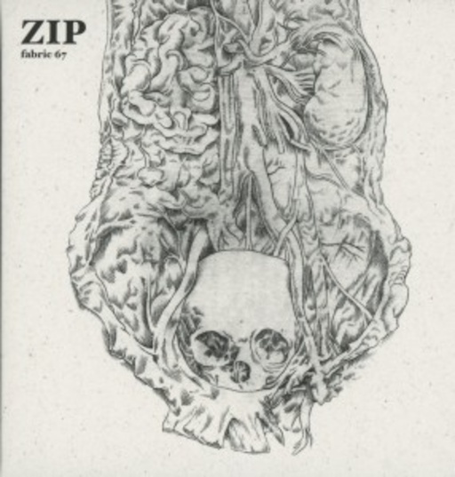 Zip – Fabric 67