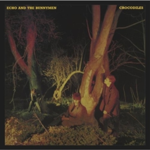 Echo And The Bunnymen – Crocodiles