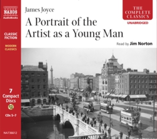 A Portrait Of The Artist As A Young Man