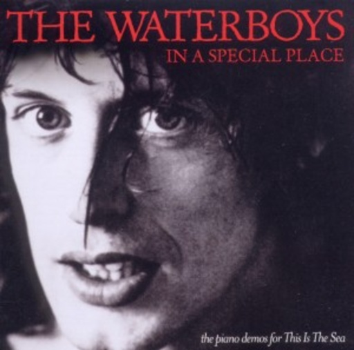 The Waterboys – In A Special Place