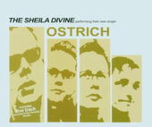The Sheila Divine – Ostrich