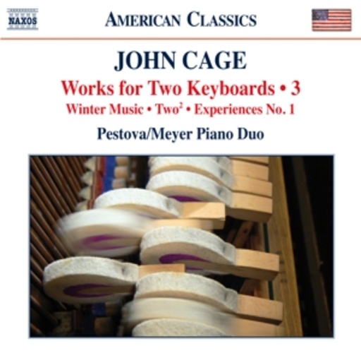 Pestova/Meyer Piano Duo – Works For Two Keyboards/3/Winter Music/Two/Experiences No. 1