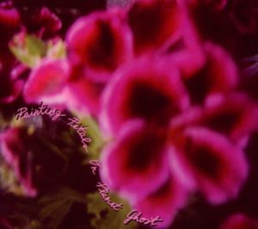 Painting Petals On Planet Ghost – Fallen Camellias