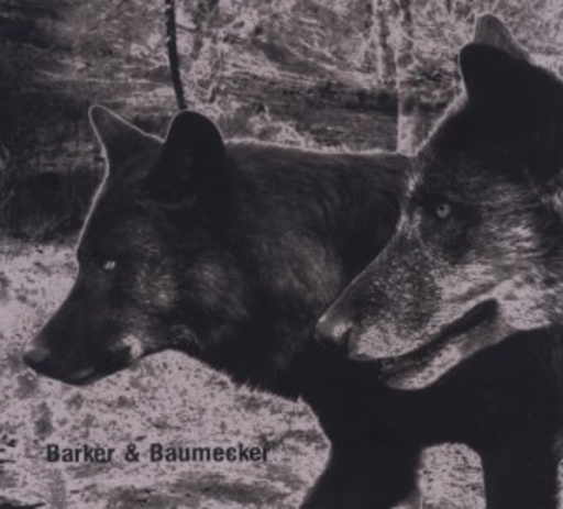 Barker & Baumecker – Transsektoral