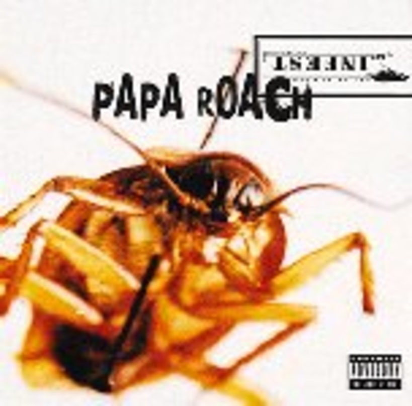 Auf dem Vormarsch: "Infest" von Papa Roach