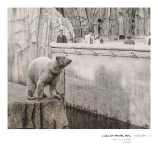 Julien Marchal – Insight II