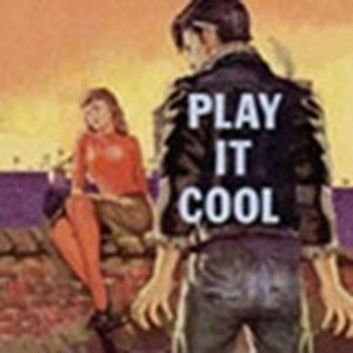 Diverse – Play It Cool