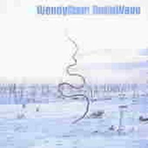 Wendy Stewart – Standing Wave