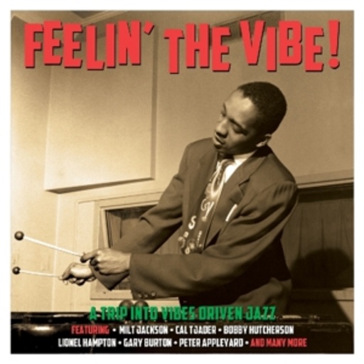 Diverse – Feelin' The Vibe!