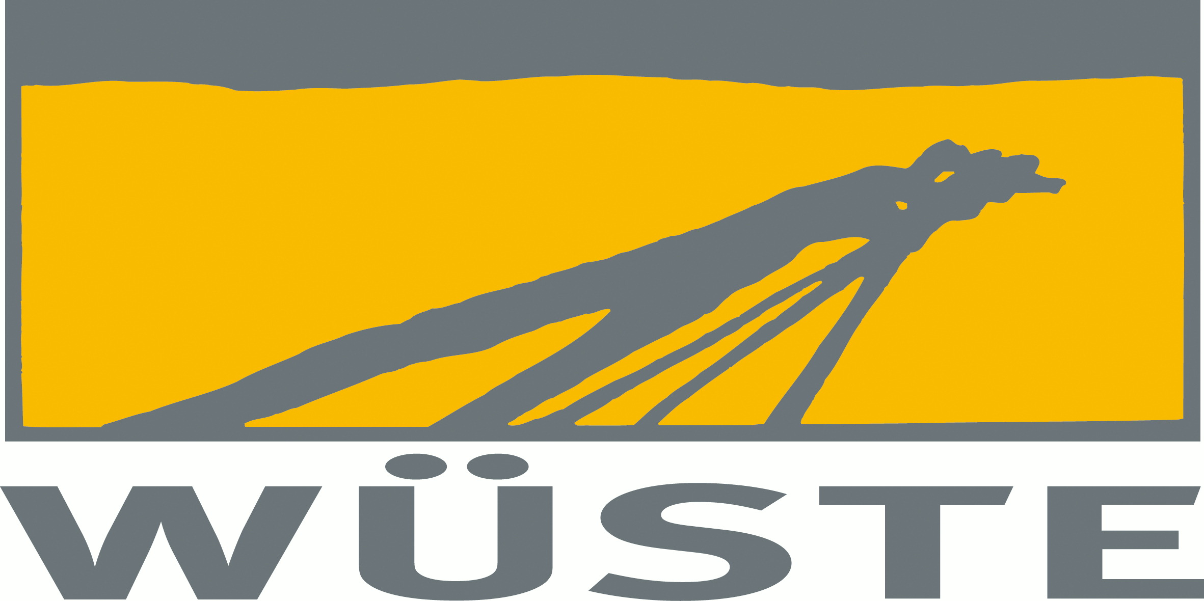 Wüste Film
