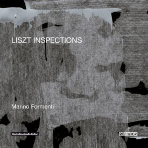 Marino Formenti – Inspections
