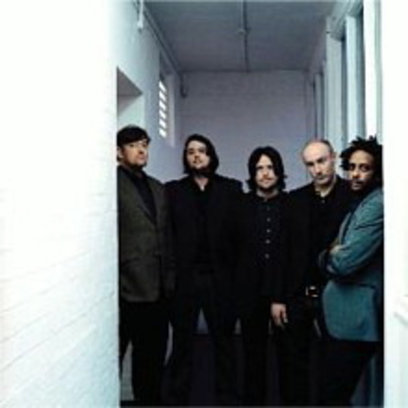 Kommen im Herbst: Elbow