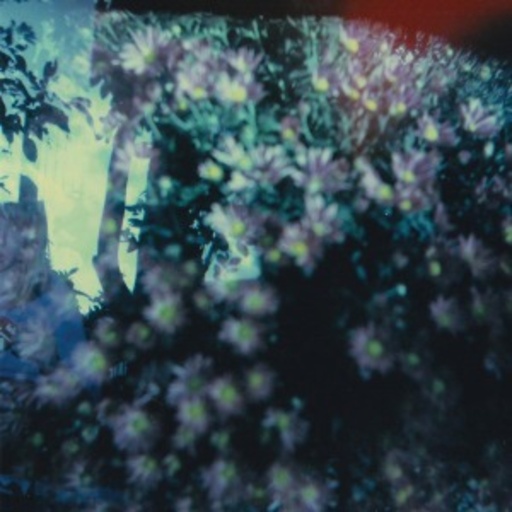 Is And Of The – Heads Phased For Dreamless Sleep