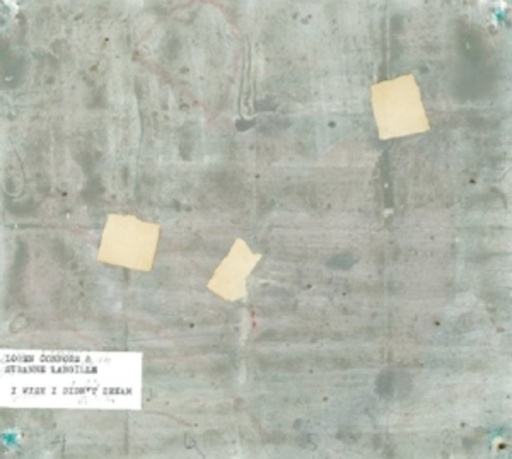 Loren Connors & Suzanne Labille – I Wish I Didn't Dream