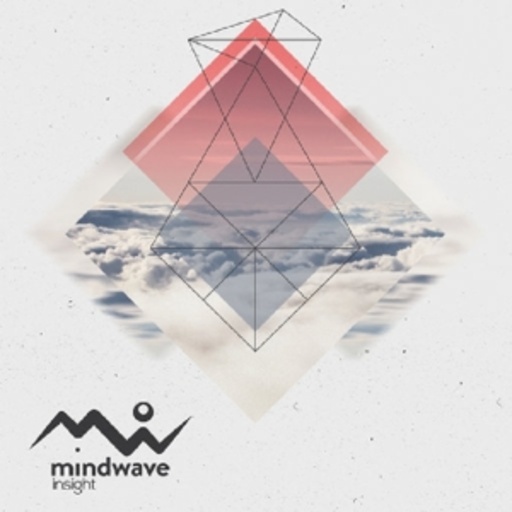 Mindwave – Insight