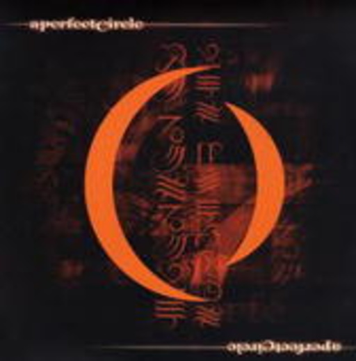 A Perfect Circle – Mer De Noms