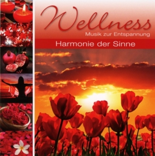Diverse – Wellness - Harmonie der Sinne