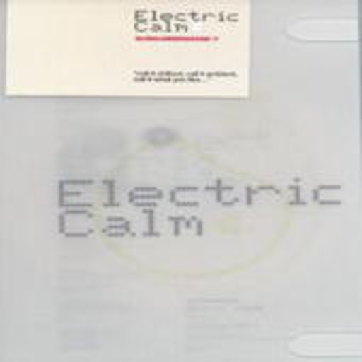 Diverse – Electric Calm