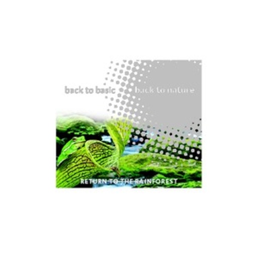 Diverse – Return To The Rainforest