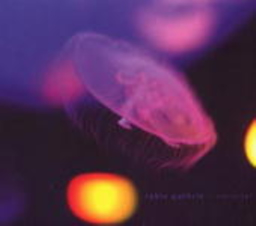 Robin Guthrie – Carousel