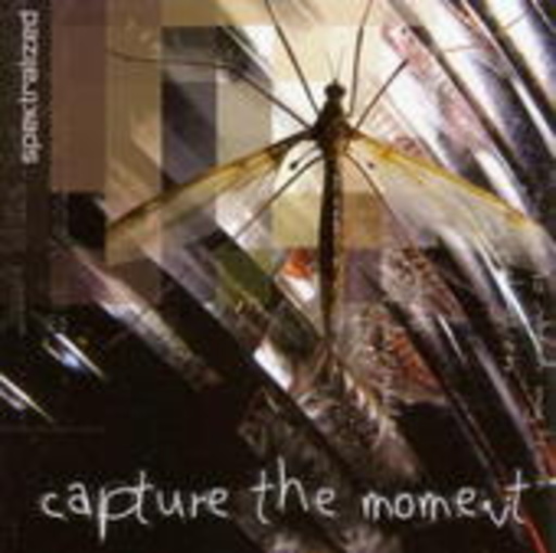 Spektralized – Capture The Moment
