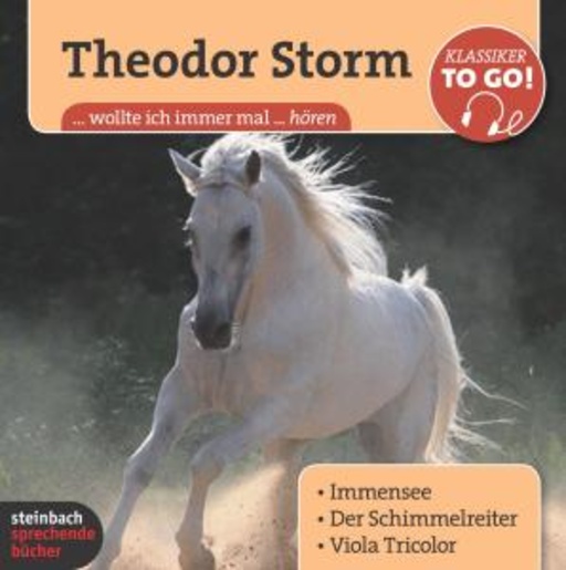 Diverse – Theodor Storm - Drei ausgewählte Novellen