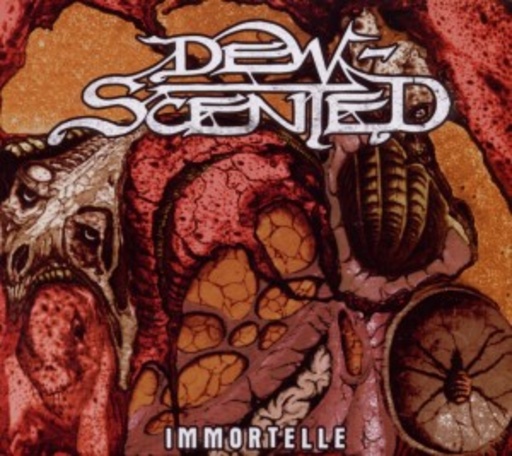 Dew Scented – Immortelle