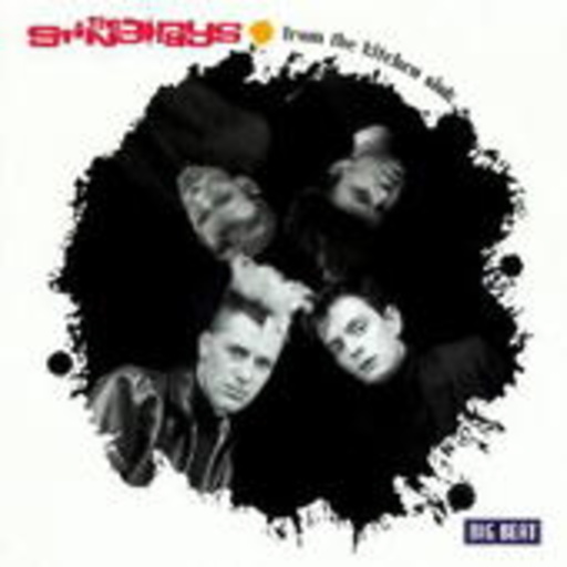 String-Rays – From The Kitchen Sink