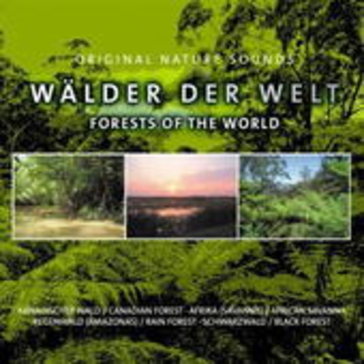 Diverse – Wälder der Welt