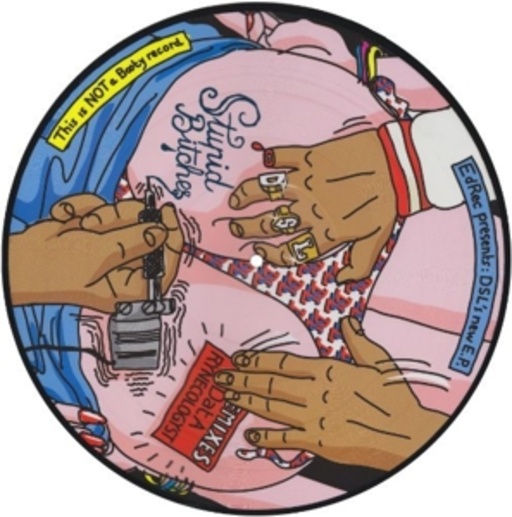 DJ DSL – Stupid Bitches