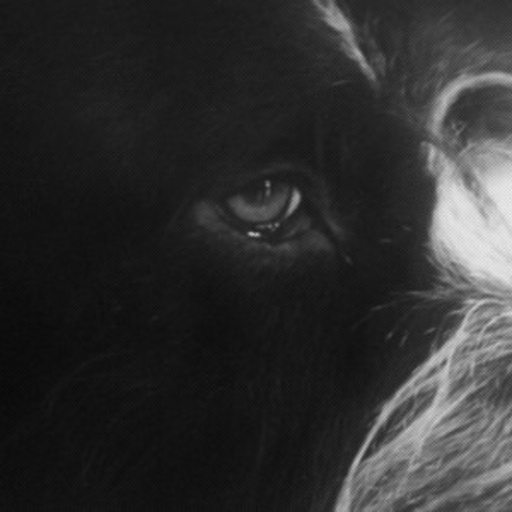 Panthera Krause – Yorikke EP