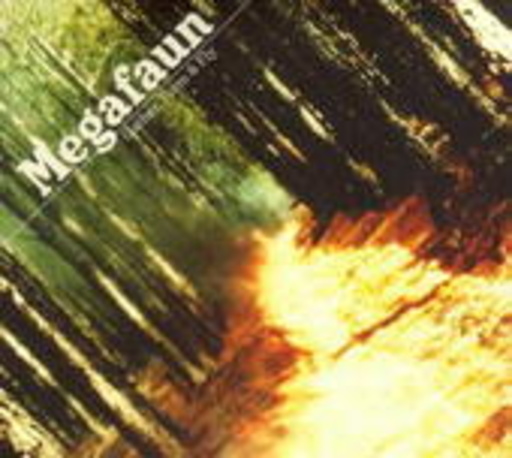 Megafaun – Gather, Form & Fly