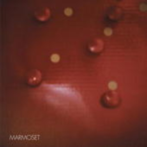 Marmoset – Record In Red