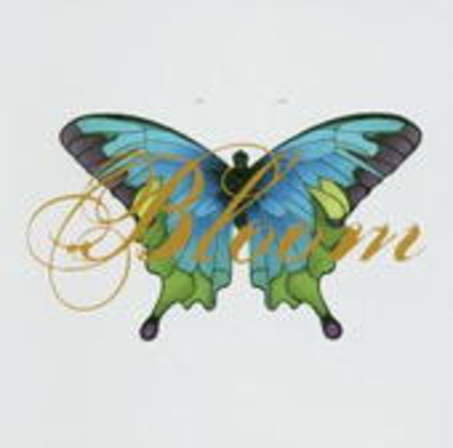 Sarah McLachlan – Bloom - Remix Album
